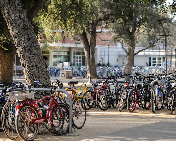 Bike Rack