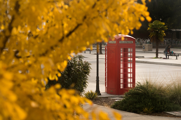 Red telephone booth next to light pole with yellow leaves in upper left corner