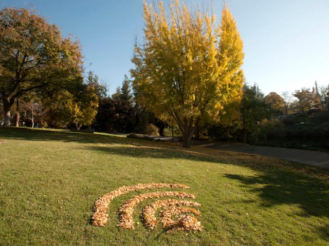 Autumn leaves in the shape of Wifi symbol in an open field