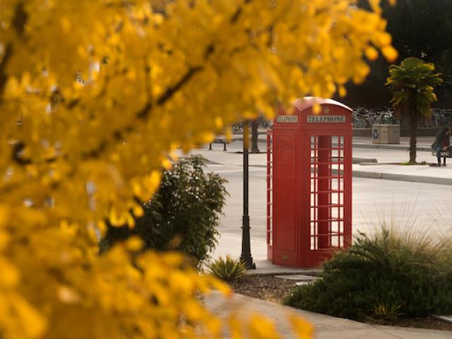 Red telephone booth with yellow leaves on one side